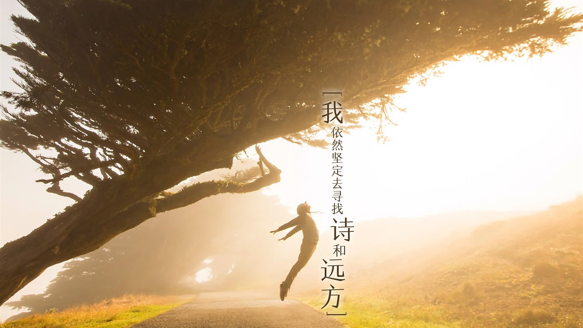 大型海岸线冲浪表演,浪花间的青春岁月,海面冲浪