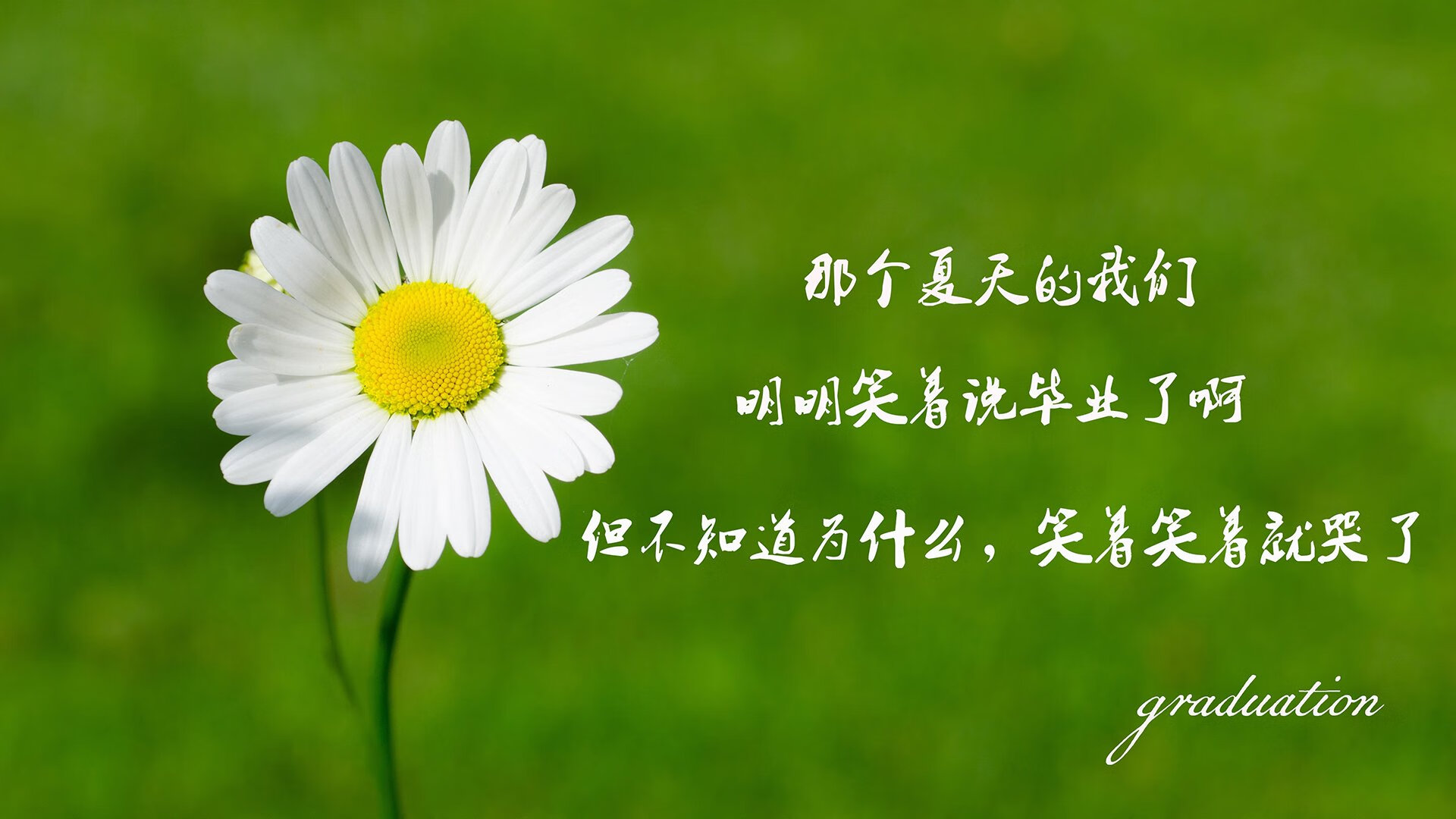 竞技巅峰：浙江球员突破困境获得胜利，浙江足球队夺冠