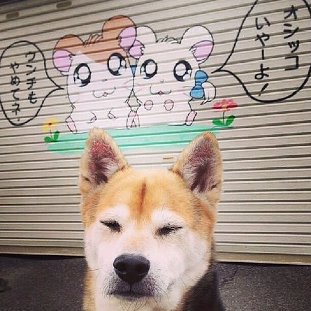 九游电脑版-新加坡队未来的发展战略：如何通过合理人员配置提升整体实力，新加坡现役