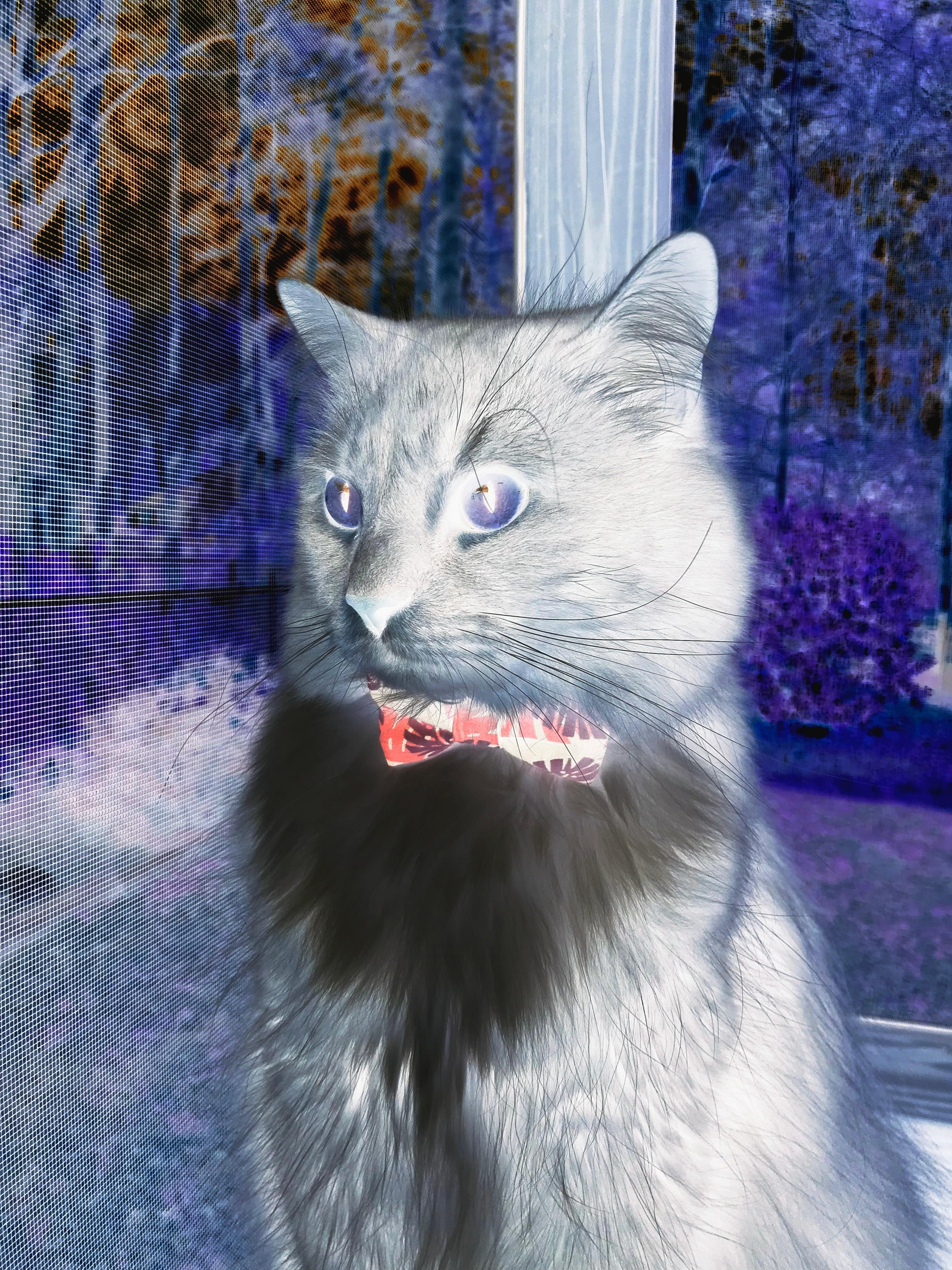 沙尔克零封对手后防组合表现稳定,沙尔克04ds