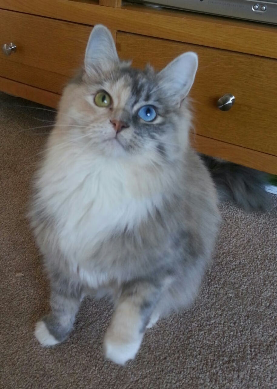 篮球为何成为青少年首选运动,篮球为何成为青少年首选运动的原因