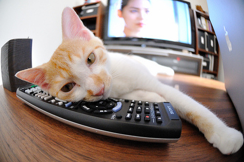 九游网页版入口-裁判员培训力度加大提升专业水平，裁判培训方案