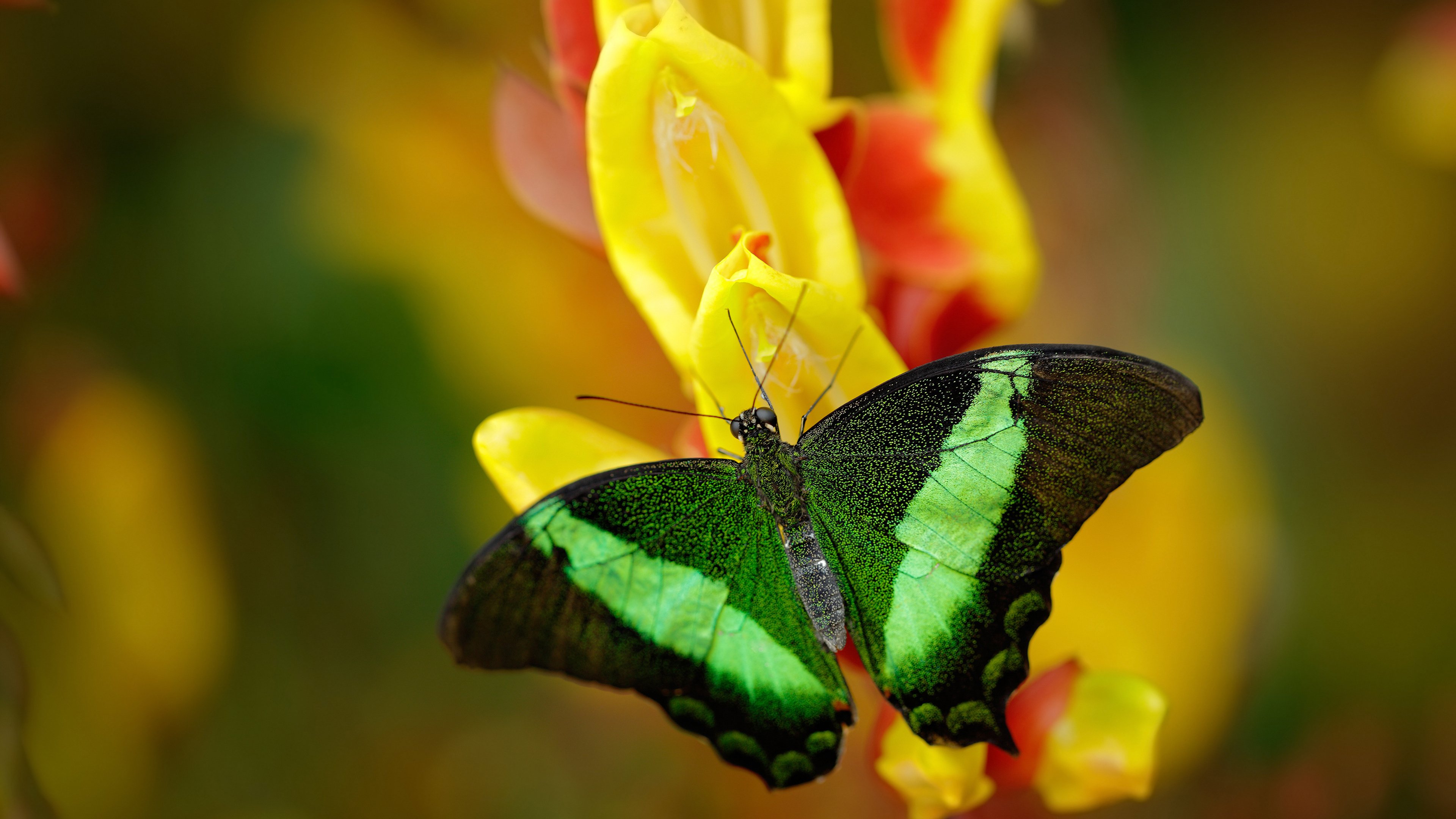 运行测试:多轮演练检验筹办实效