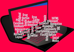 九游娱乐官网 (JIUYOU)-CBA开展球员社交媒体管理课程提高职业素养，运动员社交媒体