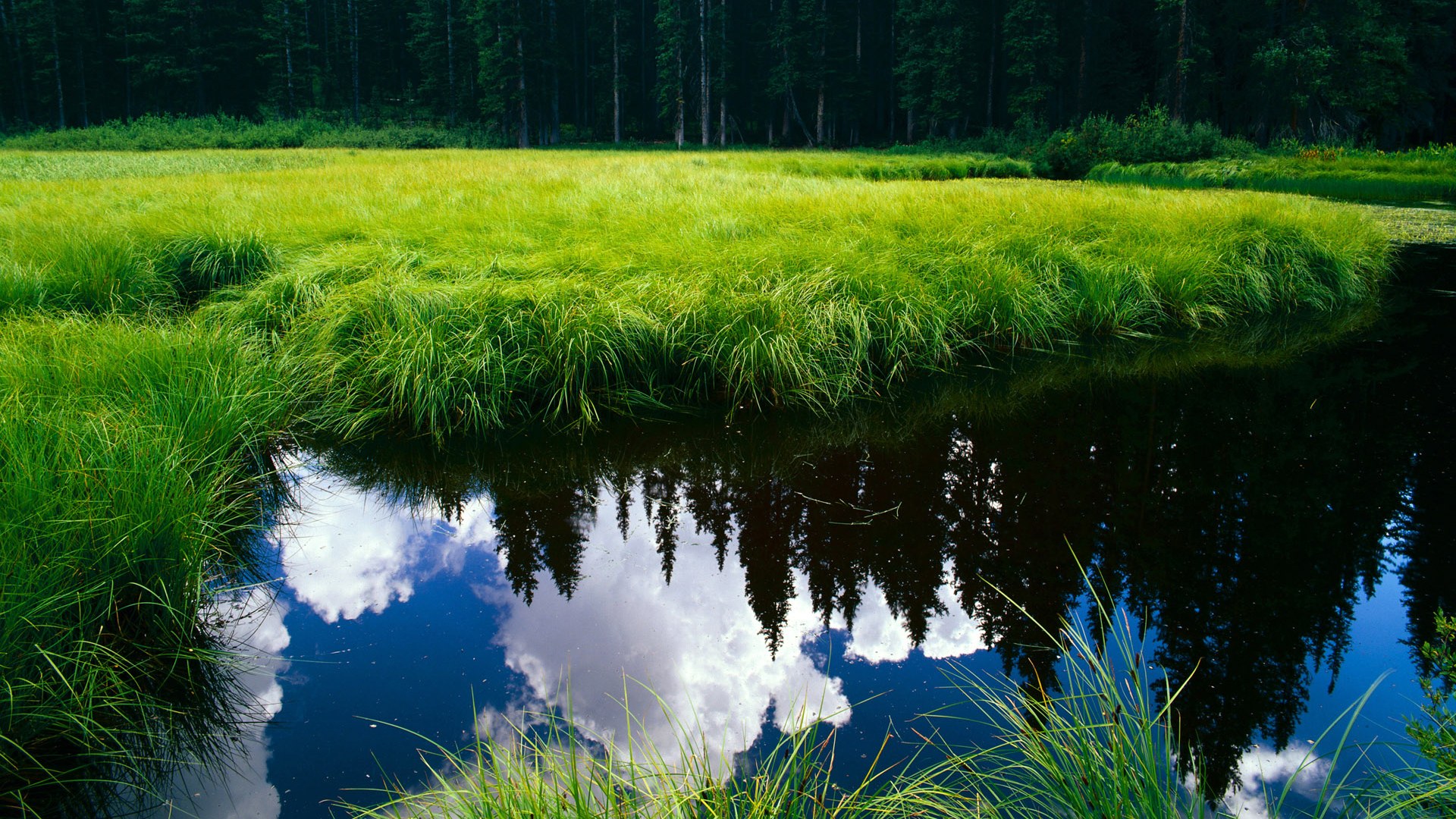 九游娱乐-哈萨克斯坦女篮在欧洲预赛中奋勇拼搏，期待奥运突破