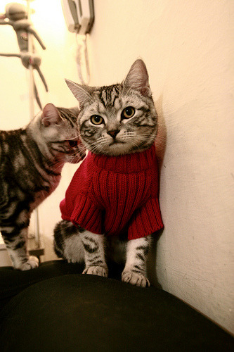 九游娱乐(jiuyou)官方网站-后防线防守成功率提升整体协作默契度大幅增强展现体系优势，后防球员