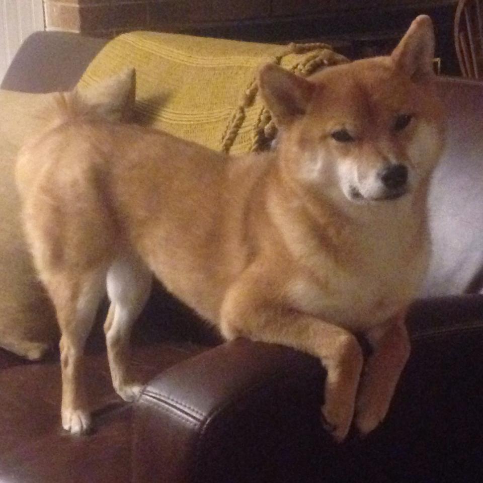 九游娱乐(jiuyou)官方网站-奇才年轻球员成长迅速成为新核心候选，奇才的球员名单