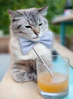 九游登录入口-意大利组合决赛精彩表现赢得观众喝彩，意大利小组赛