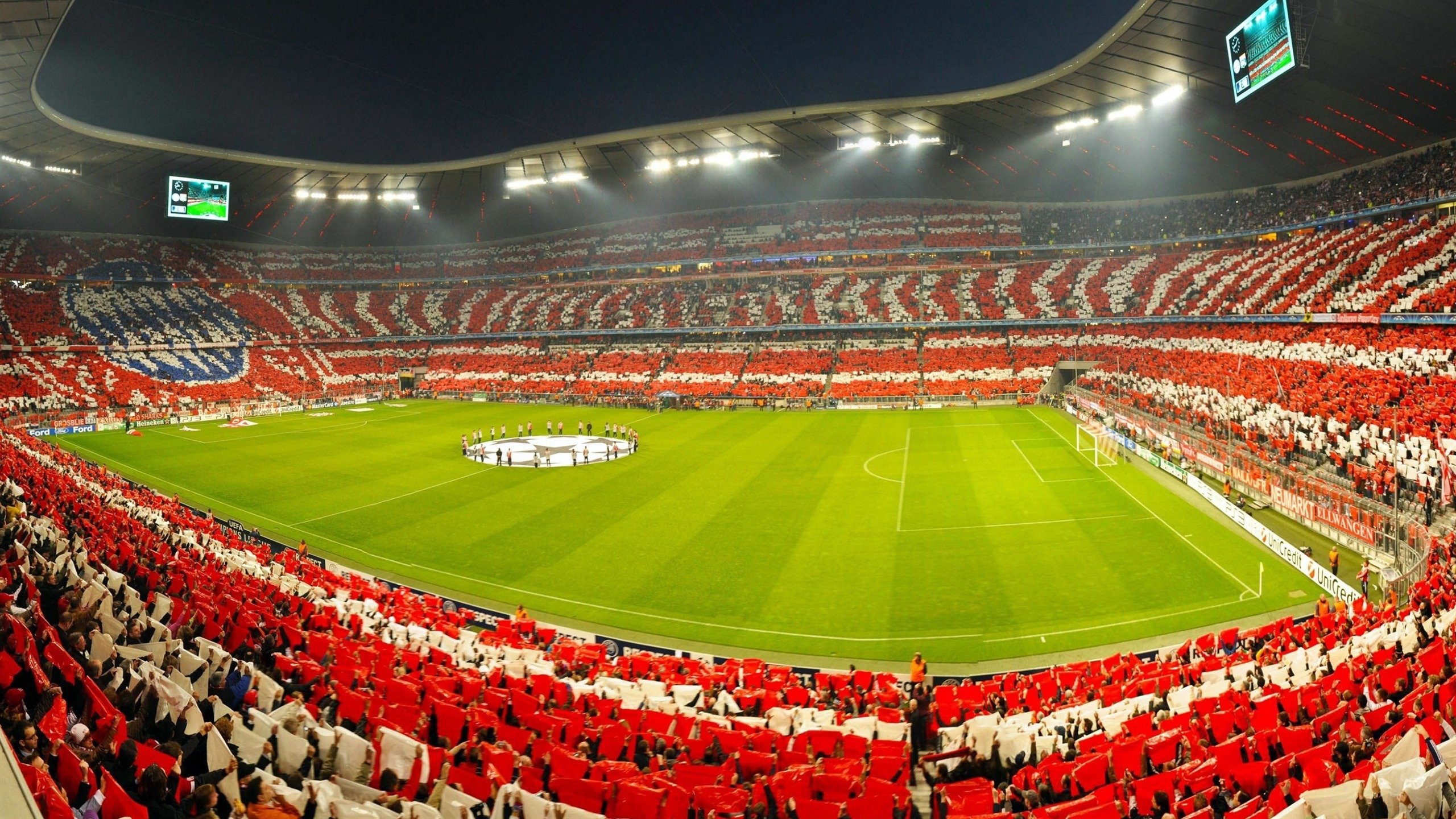 “速度之魂”——冠军车手的血性与荣耀，速度之星